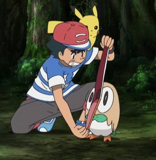 PokemonGems's tweet photo. https://t.co/wjIsPQNxZK