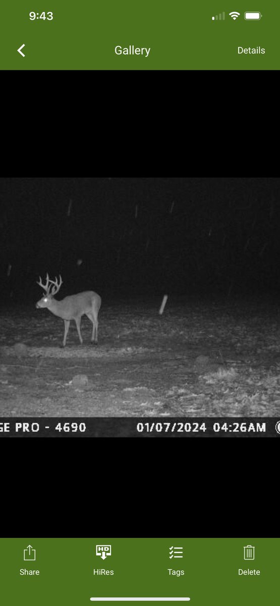 Jim Rogers tweet media