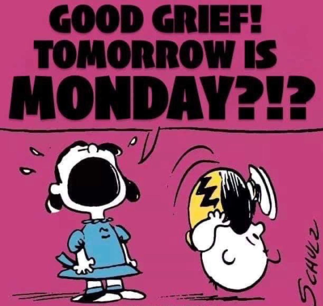 Peanuts_4Fans's tweet photo. GOOD GRIEF! #Peanuts https://t.co/Enj4rH8jm7