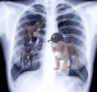ArizonaWBB's tweet image. X-rays came back positive… KG got that Dawg in her 🐕🐾

#MadeForIt x #LeaveALegacy
