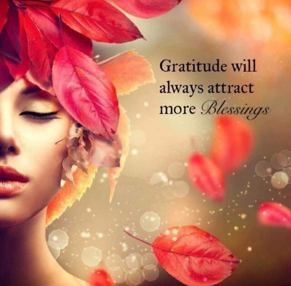 Gratitude will always attract more blessings. ~ Take a moment to think about what you are grateful for today. ~ #Gratitude