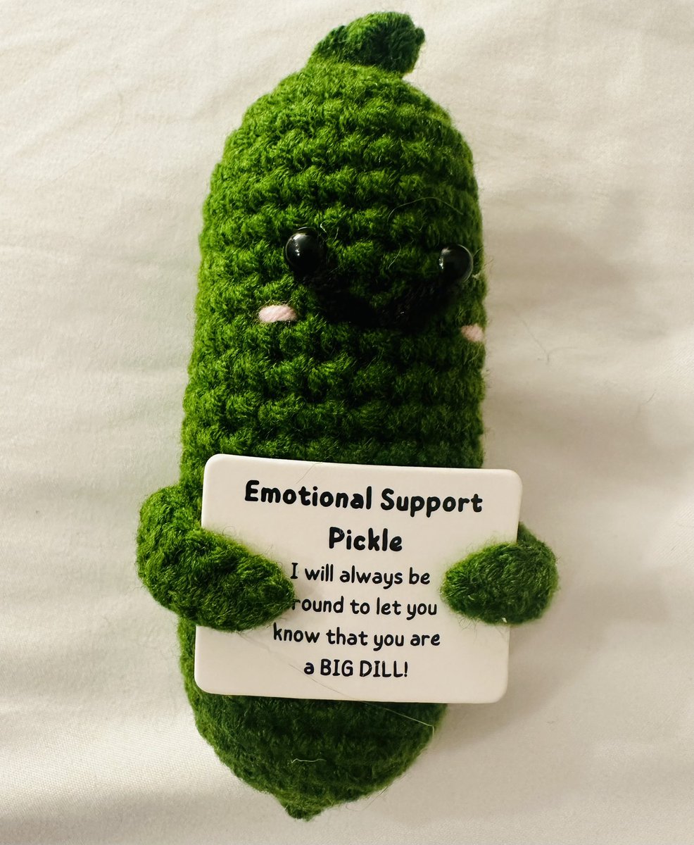 Dr. Catharine Young on X: When you get gifted an emotional support pickle  😂 I think everyone should have one of these so sharing it with you  #BigDill  / X