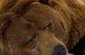 cjudisch35's tweet photo. @BarstoolBigCat https://t.co/8G9VDWqCut
