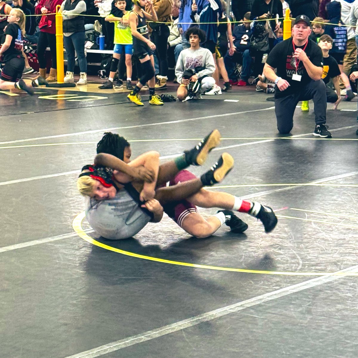 Wolves_WC's tweet image. Wolves wrestlers dominated The Good Guys Tournament with sheer skill and determination! 🤼‍♂️🔥 Unleashing their full potential, they left a memorable mark on the mats. 🏆
 #WolvesWrestling #GoodGuysTournament #jrwolves #ikwf #crystallake #prairieridge #prairieridgewolves