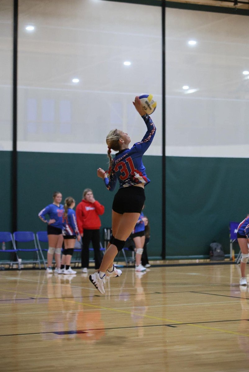 Level Elite Sports tweet media