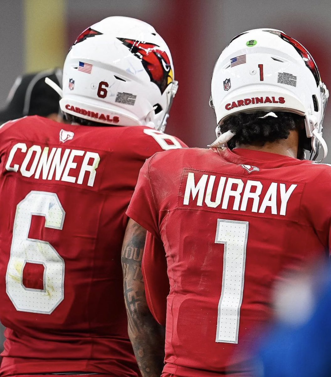 The AZ sports fan! tweet media