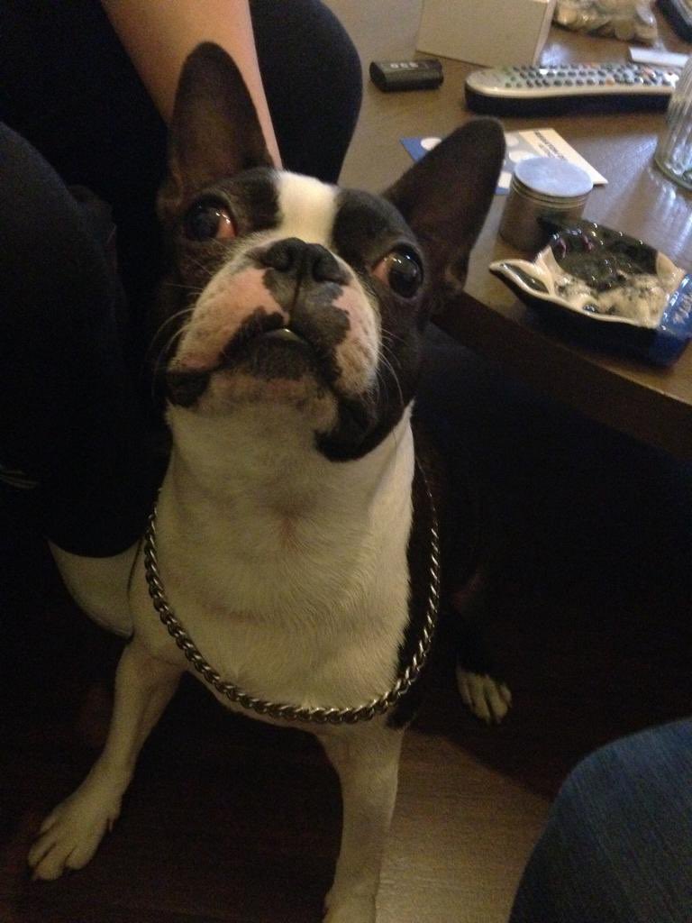 RobAwesomo's tweet image. Te extraño