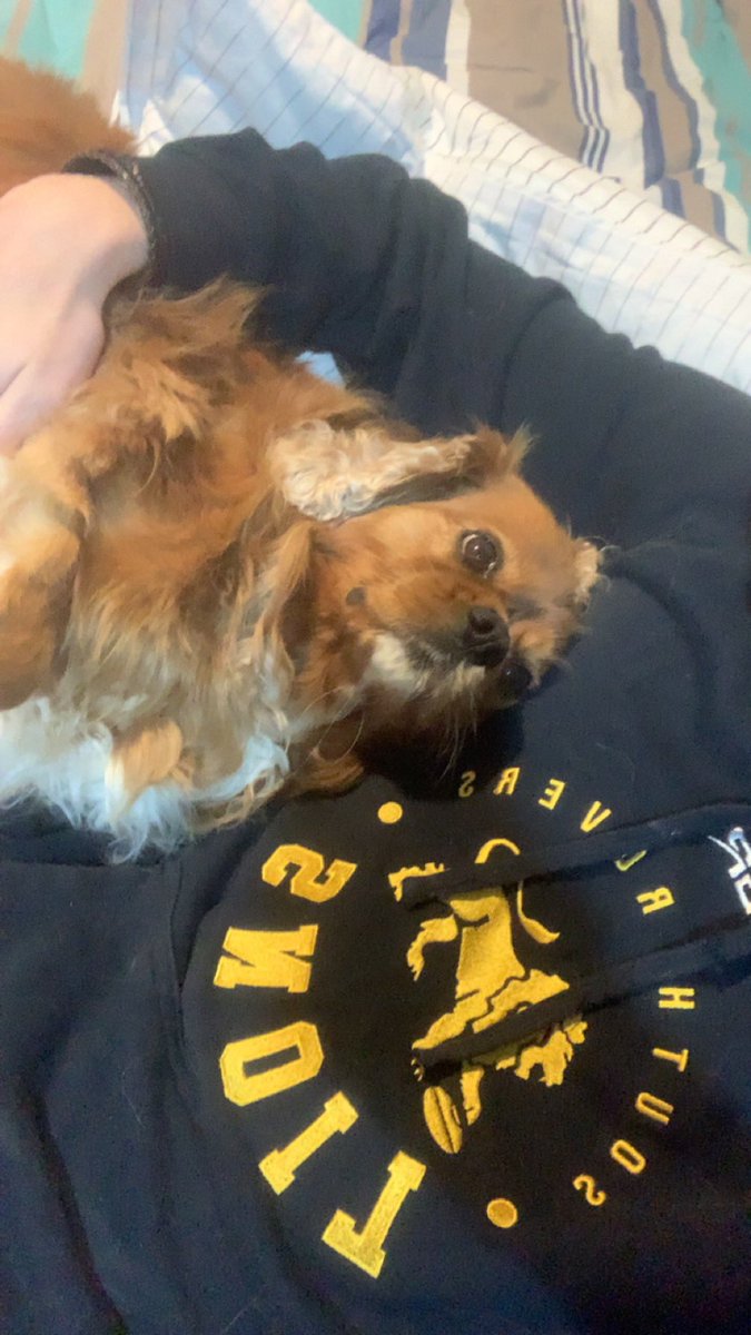 Infusion tweet media