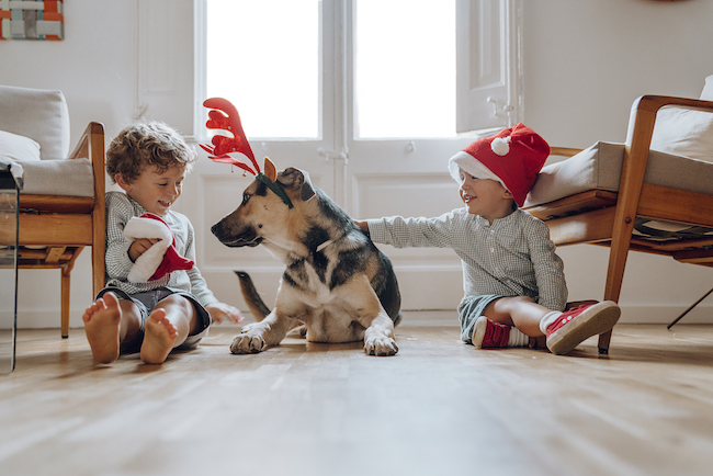 AnthonyPassare2's tweet photo. Thankful for the gift of pet insurance during the holidays – because unexpected vet visits shouldn't break the festive spirit or your wallet! Get your free quote today!

https://t.co/wkagIkkWAY

#PetsBest #PetInsurance https://t.co/qzuGMtE6MN