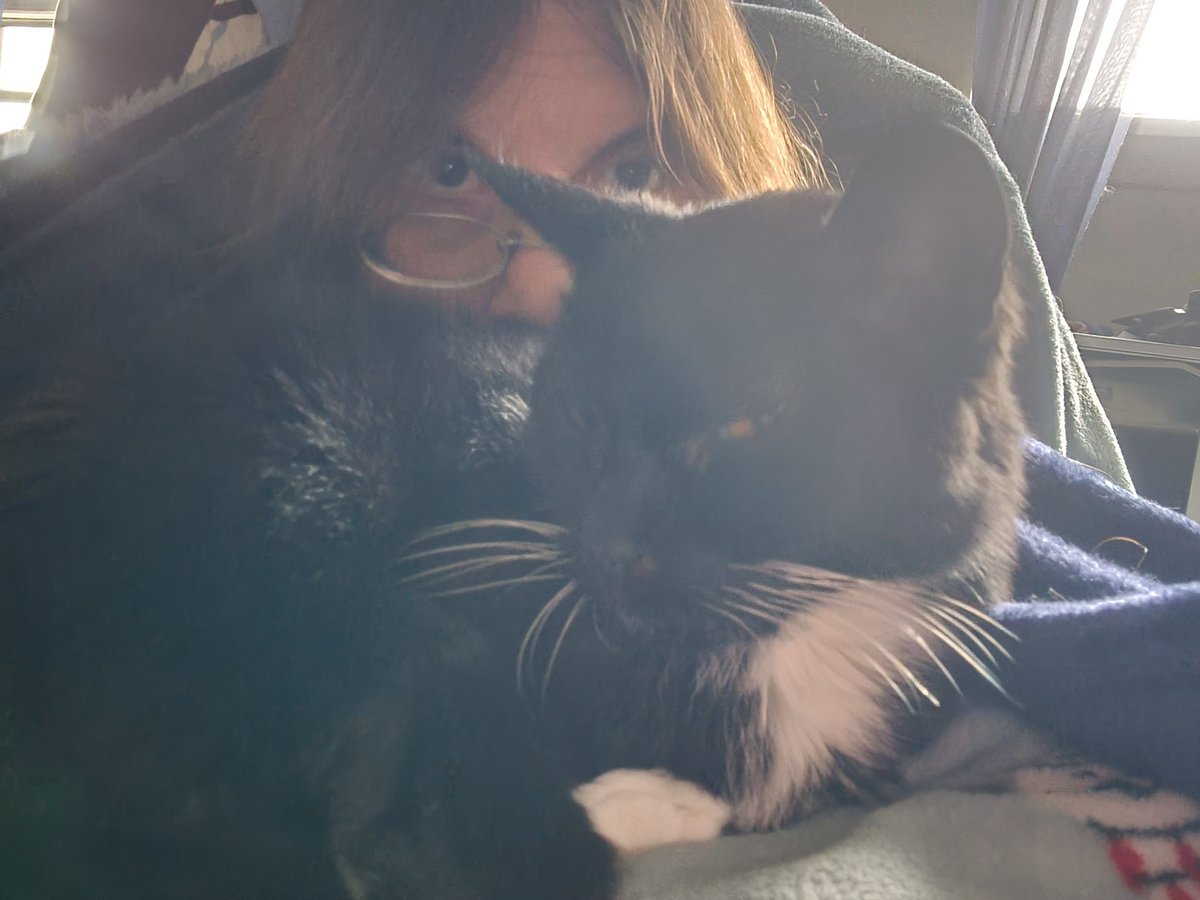 CatCheezeburger's tweet photo. Hi ya Palz!
1. Frum January 6, 2011, Tony Cat, me, n Mr. Jingles
2. Me n Mama
3. Me!
4. Me!
Luv, Cheezeburger โฅ๏ธ๐๐โโฌโฅ๏ธ #cheezeburger #cat #cats #catsoftwitter #catoftheday #tuxedocat #tuxedocatsoftwitter #CheezeburgerTheCat #WhiskerWednesday #Purrsday #FelineFriday #Caturday https://t.co/nEvRLsyMvR