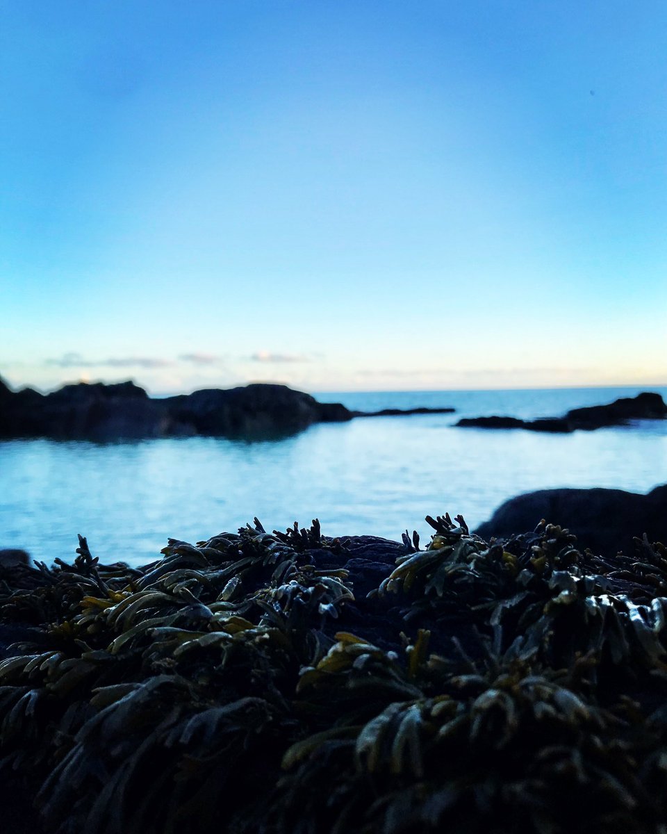 SineadBarry77's tweet photo. Church Bay today #sea #sky #seaweed #rocks #bay #bluesky #churchbay #crosshaven #cork #ireland #january #iphoneonly #filter @corkbeo @pure_cork @yaycork @CorkDaily @CravingCork @LovingCork https://t.co/qW7jEW3Adz