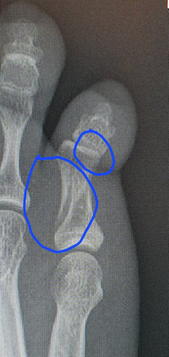 Homework Radio tweet media