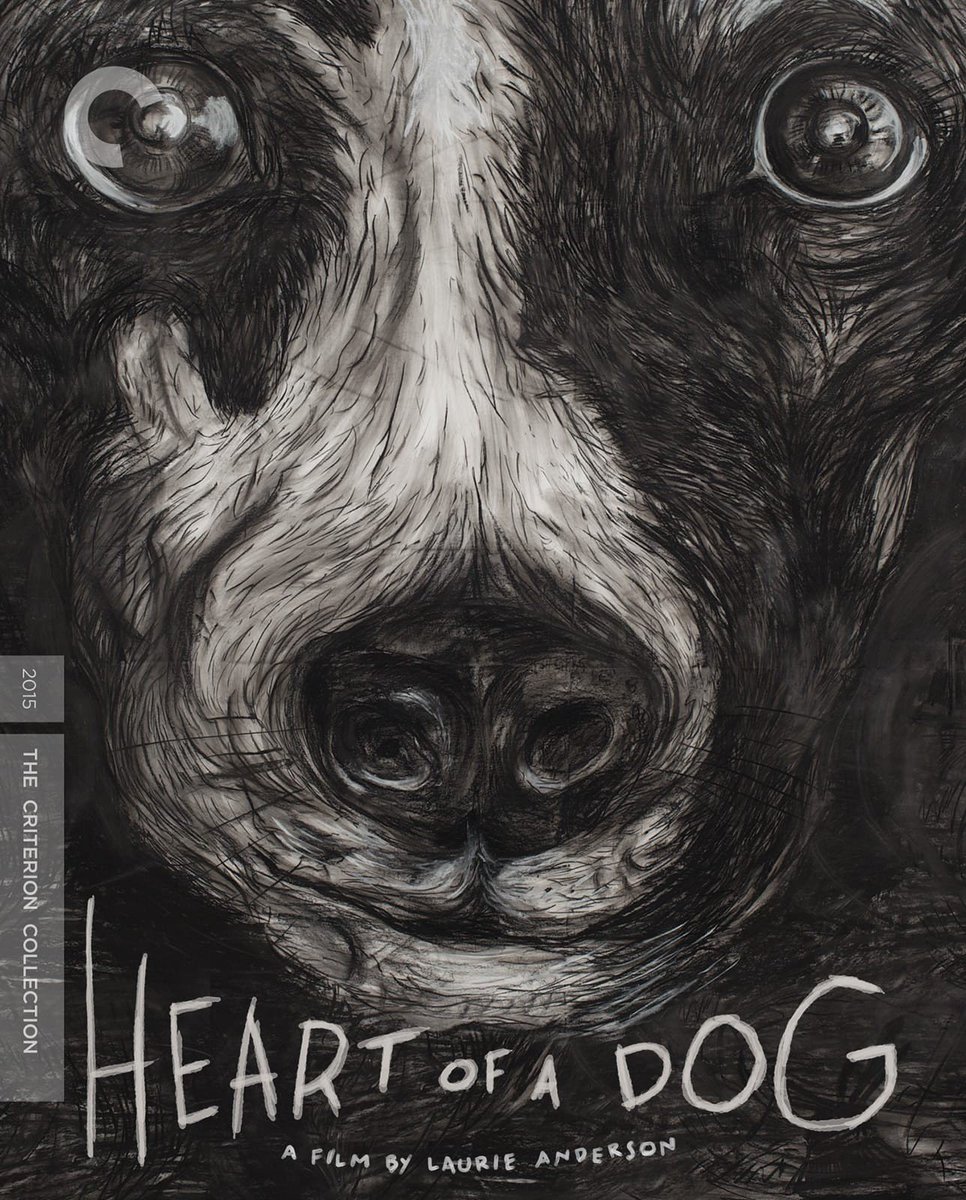 #Criterion Collection Crawl - Spine #846
Heart of a Dog
#LaurieAnderson's 2015 visual/musical poem winds around, between and through the life of her beloved dog and companion Lolabelle.
A much needed palate cleanser after The Squid and the Whale and Testament.