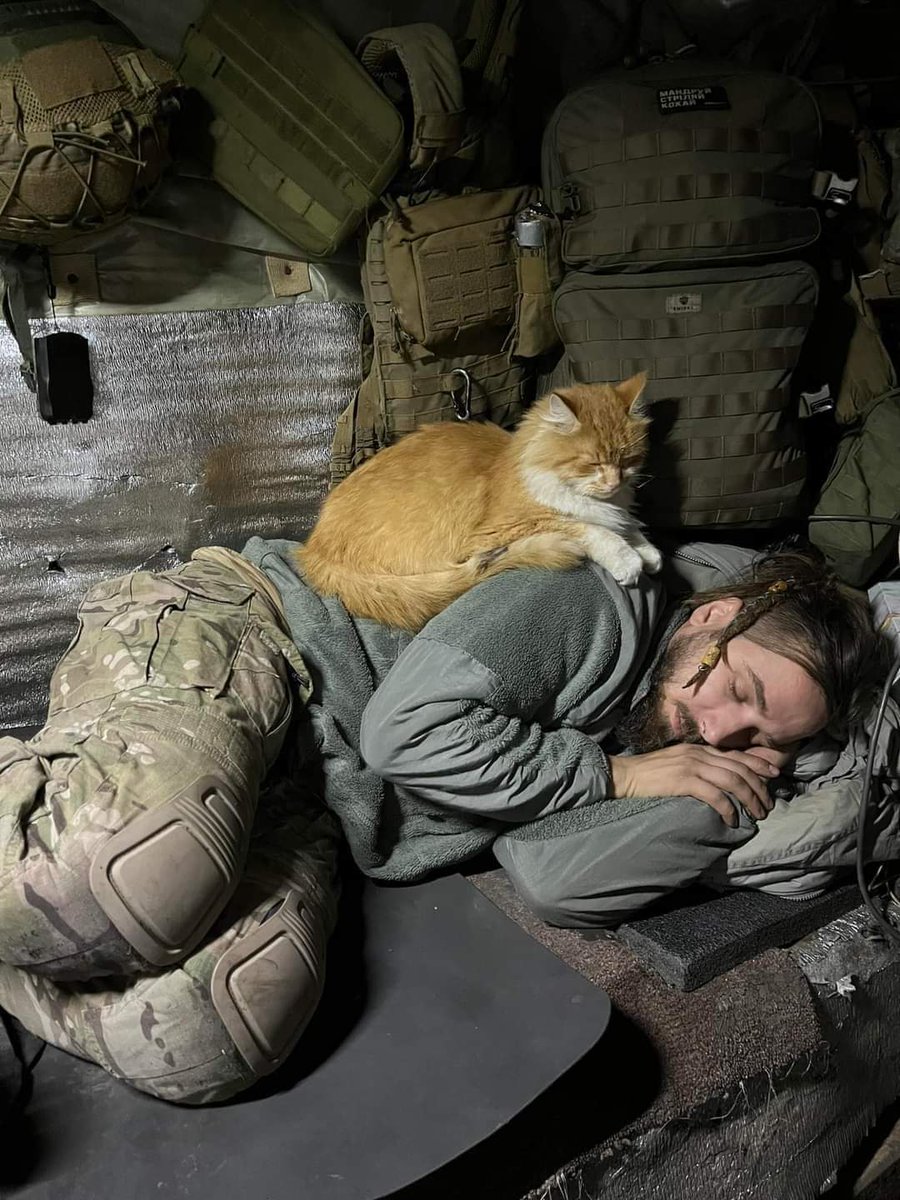 Maksym Kryvtsov. 
A brilliant poet. 
A beautiful soul. 
He joined Army ranks to repel Russian aggression. 
He was killed in action. 
His cute red cat died, too.
He posted this piece just a few days ago. 
I thought I should do an Eng version and share it with y'all.