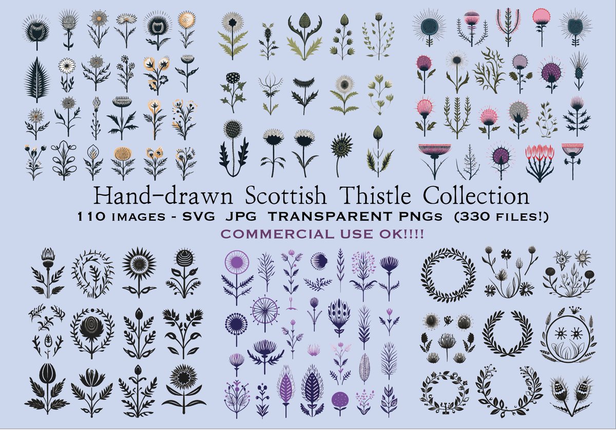 VidhyaPR's tweet image. Scottish Thistle Clip Art Collection - Boho Whimsical drawn tr by Infinite108Designs etsy.me/3TRpqCp via @Etsy