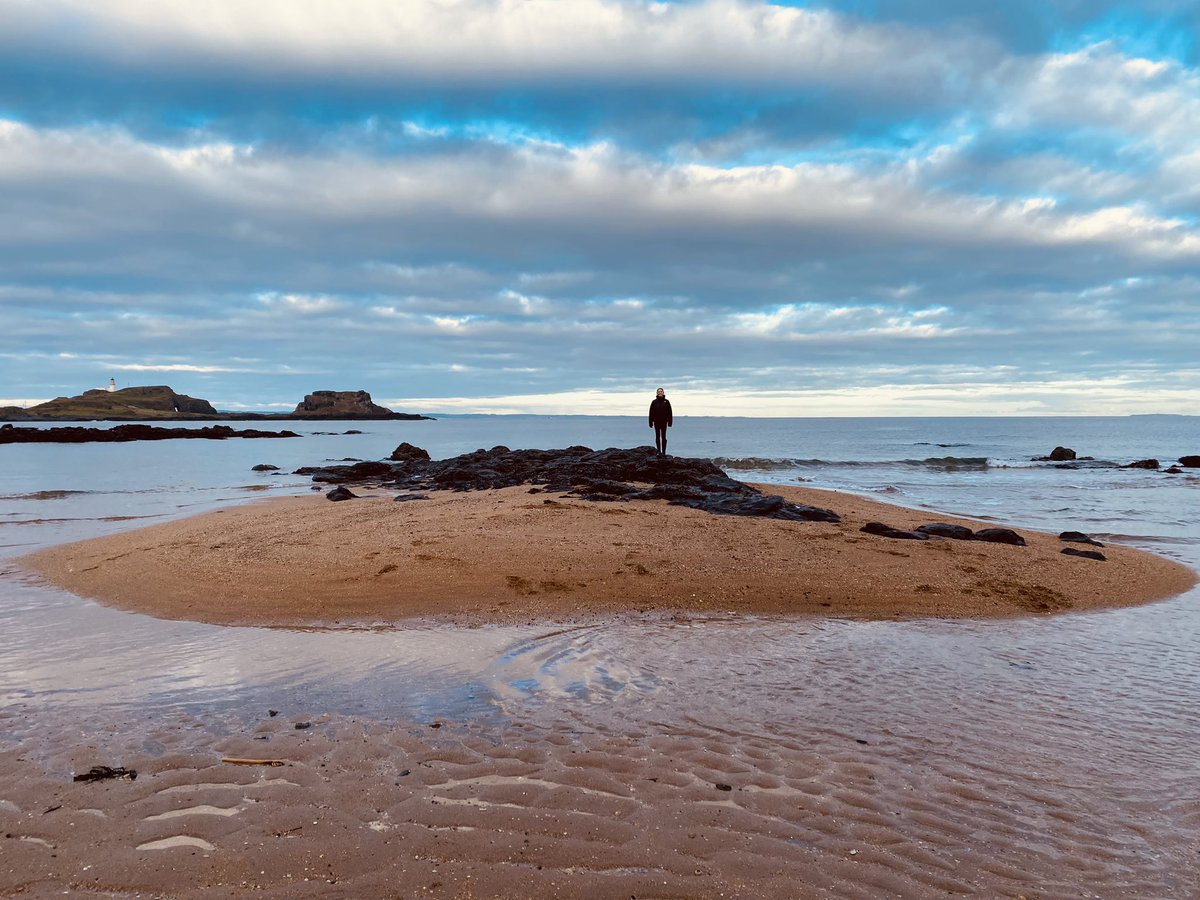 Nina Morris tweet media