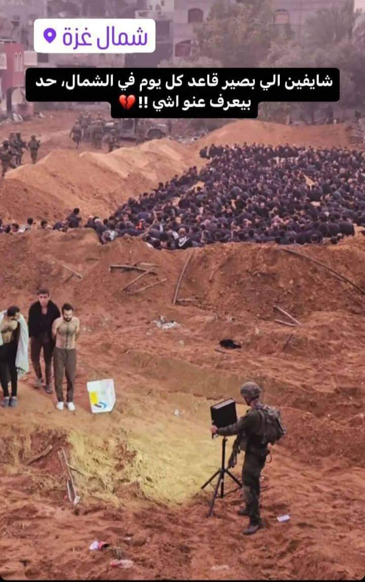 nono_nour_7's tweet photo. We will Never forget .💔
We will NEVER stop sharing

ᖴᖇᗴᗴ ᑭᗩᒪᗴSTIᑎᗴ !!🇵🇸 https://t.co/V1yCAbJlBZ