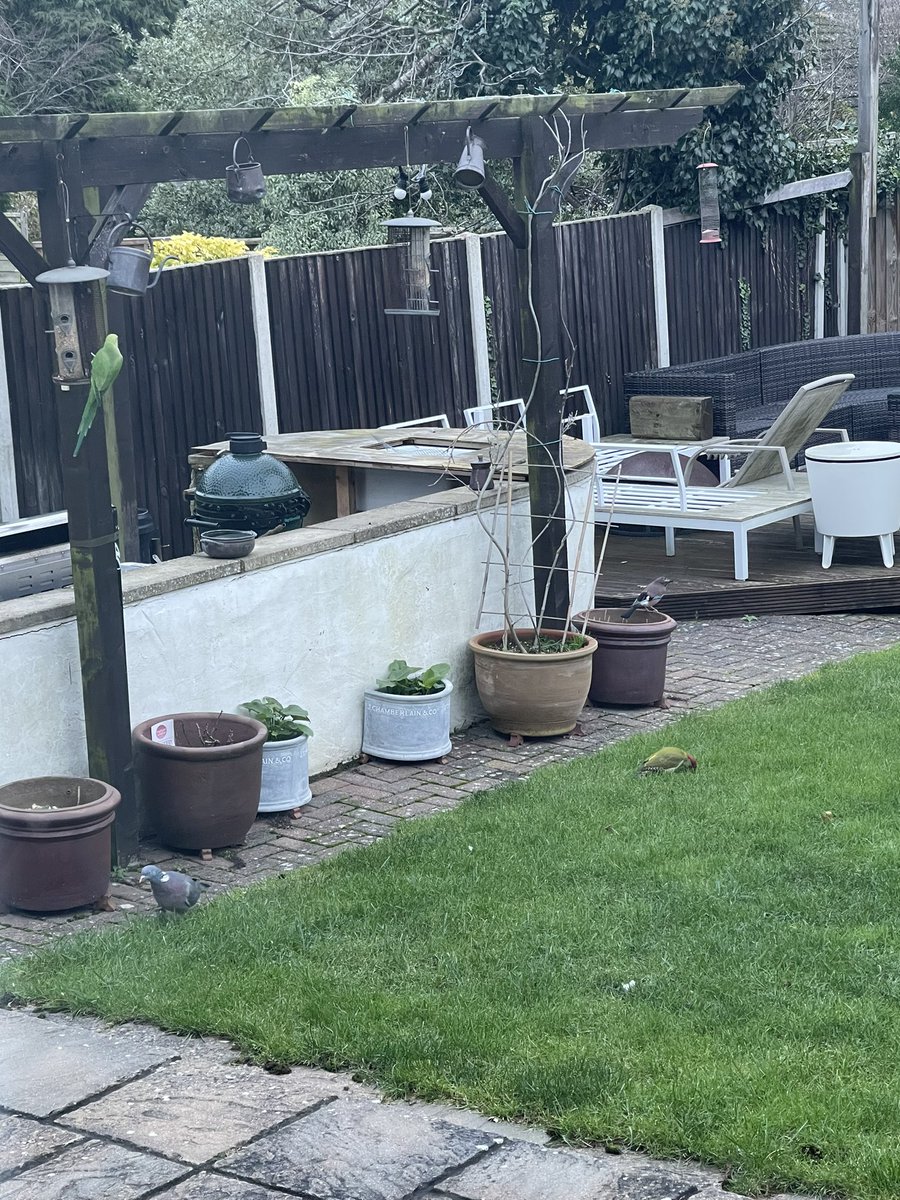Bazza3757's tweet photo. @Natures_Voice Spot the Robin https://t.co/yKCHk2Wp8t