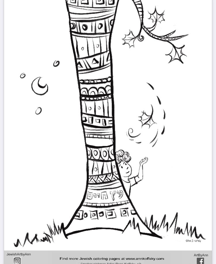 AnnKoffsky's tweet image. My new Tu bishevat coloring page is up and can be printed for free over here: annkoffsky.com/wp-content/upl… #tubishevat #coloringpagesforkids #jewish #illustrator #tree #newyearfortrees