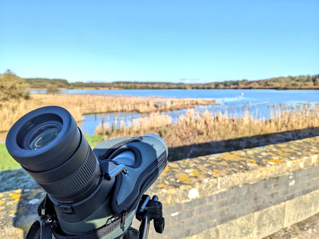 Jonni Price tweet media