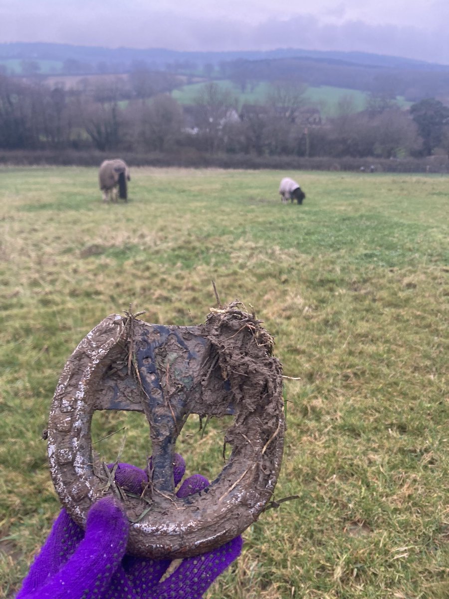 Someone was happy with the outcome of today 🤦‍♀️😂