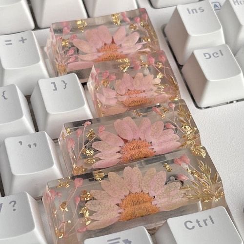 .ᐟ ★ tweet media
