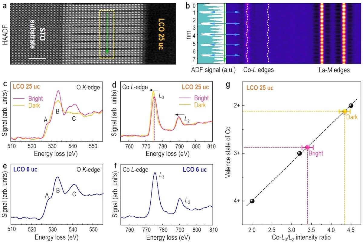 Hongguang Wang tweet media