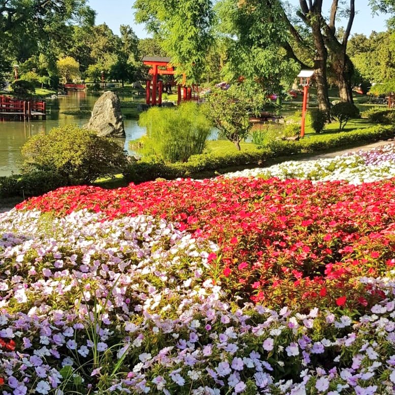 #BuenDomingo 
🎉⛩🇯🇵MAÑANA ABRIMOS!🇦🇷
La gran alegria de volver a recibirlos desde mañana lunes 8 en el horario de 10 a 18:45hs.
👉Entrada gral de 1488 pesos, menores de 12 y mayores de 65 años es gratuito. 
Podras adquirirlas solamente en puerta.
Para más info al 1122572130