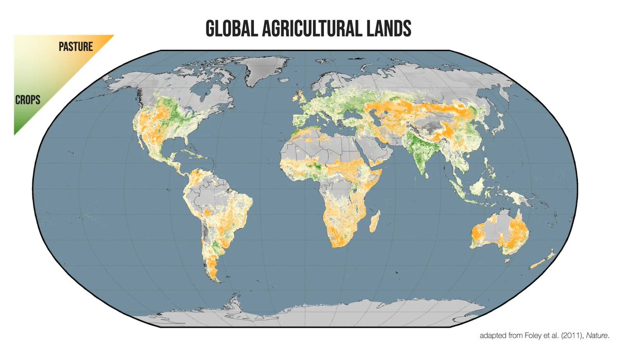 Why? First, consider the fact that agricultural production now covers roughly 35-40% of the land surface of the planet -- by far the single biggest use of land on Earth. This has wiped out more ecosystems and species than anything else we have done.