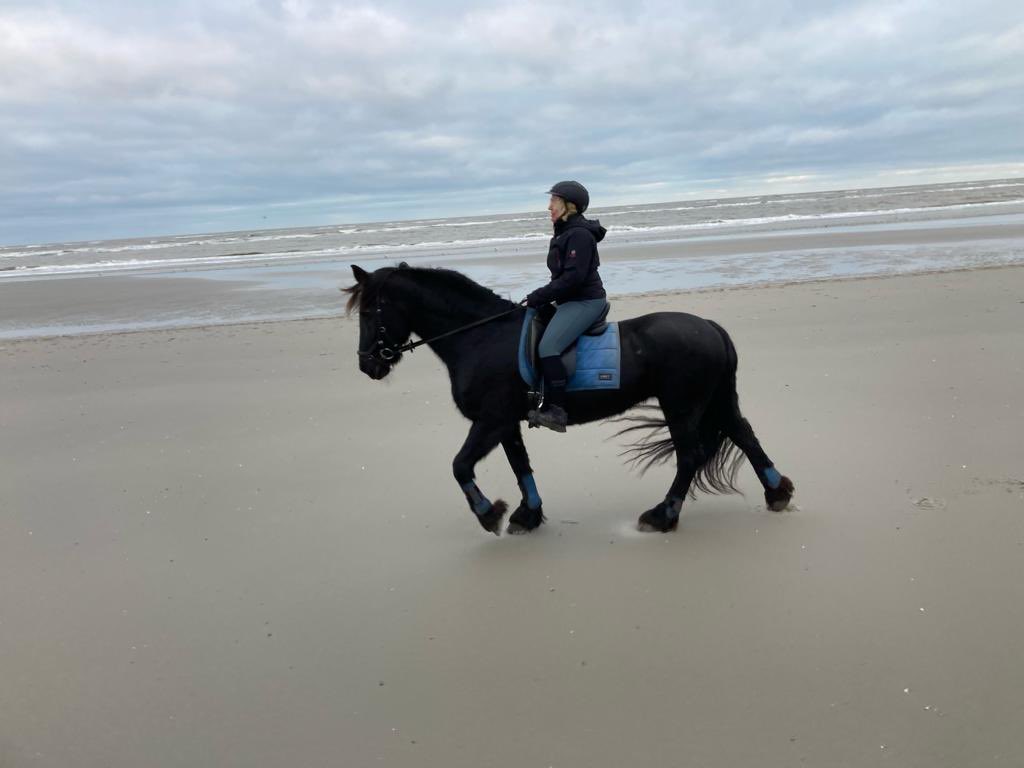 Lucky me! ❤️
@ Schiermonnikoog