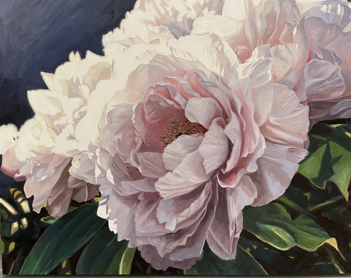 MatticksGallery's tweet photo. January FEATURED ARTIST James Wiens.

'Group of Blooms'
24" X 30" Original oil painting on cradled board

is one of the original paintings by James Wiens available in The Gallery or online https://t.co/Iez3Od6kaW and qualifies for *free shipping

#featured #floralpainting #oilpaintings #originalart #stunning #justarrived #freeshipping #yyjart #canadaart #jameswiens #matticksfarm