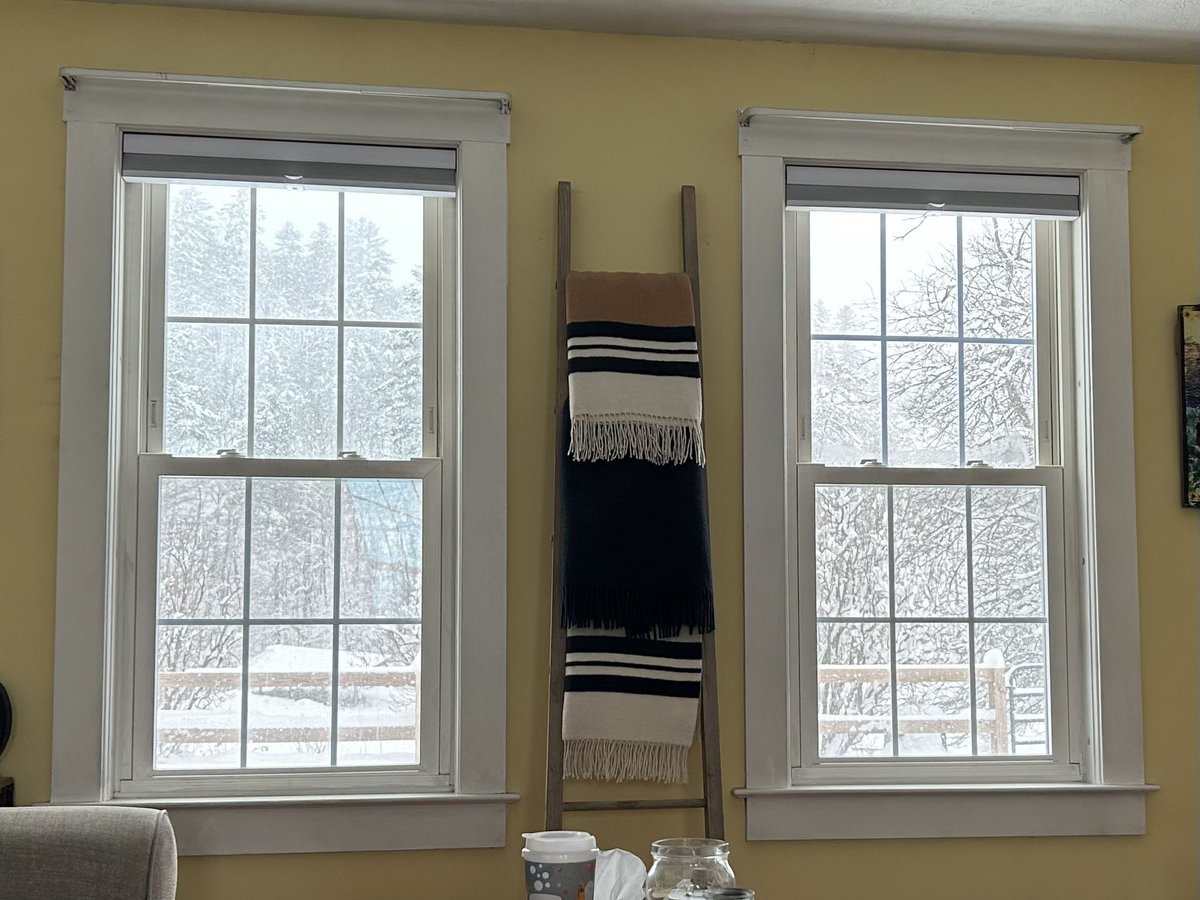 ShawnTWrites's tweet photo. Still snowing up here in #Vermont. I’m glad we came home from Maine early, because we would have been stuck there today. #snowstorm #noreaster #winterinnewengland #writing #reading #WritingCommunity ⛄️📚💻☕️ https://t.co/EjiwjMr5n2