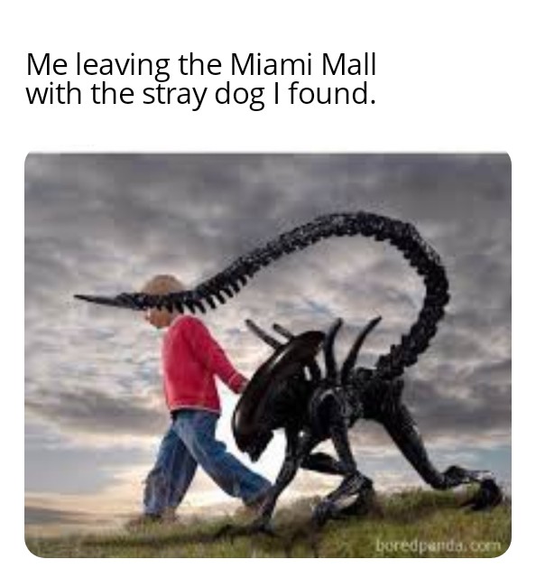 @RealPizzaPepe Nothing to see here...