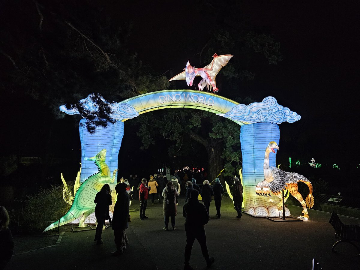 IRLWhiskeyStout's tweet photo. Chinalights in Cologne Zoo🐉
Chinalights im @koelner_zoo 🐲
Including also Jurassic Park 🦖
#100daysofwalking #Chinalights #Köln #Cologne #KölnerZoo https://t.co/SNI4yZMbI8