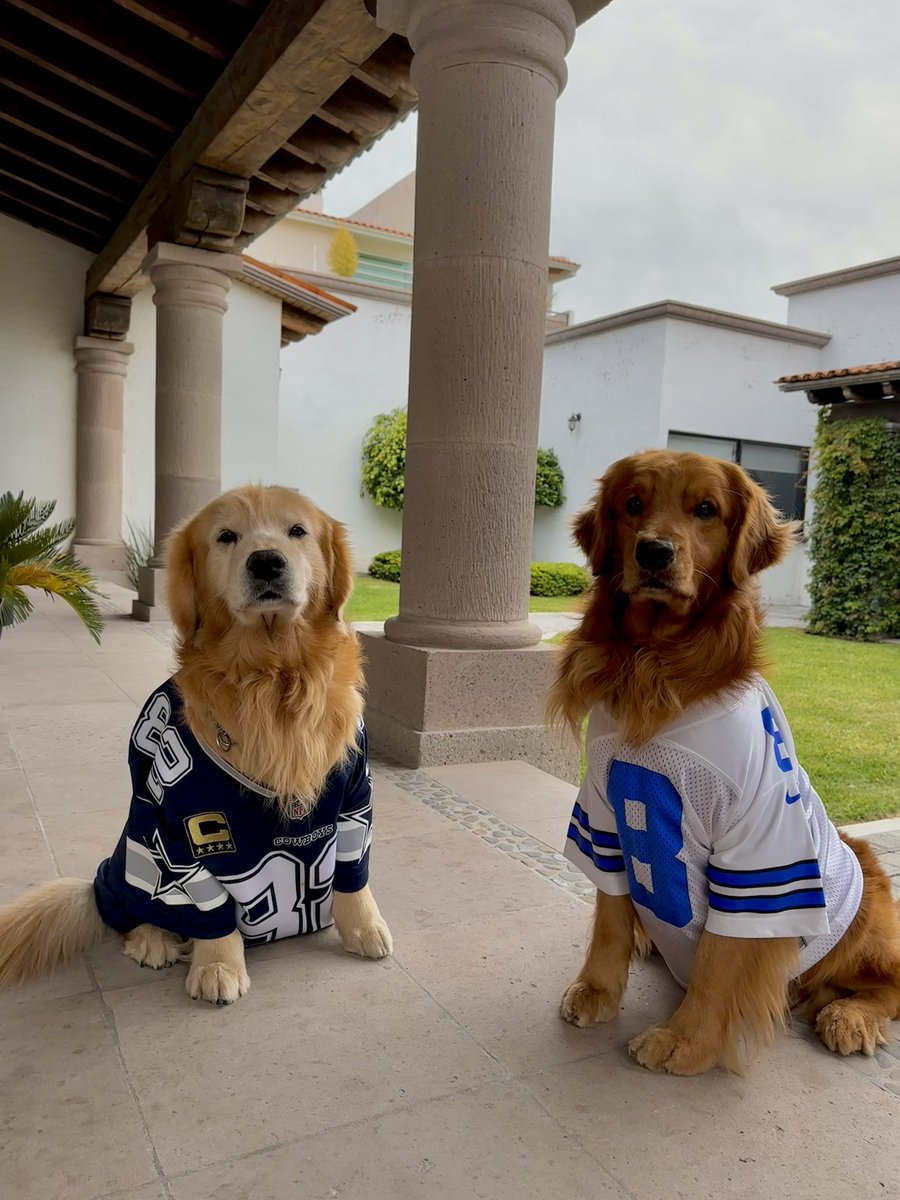 HijitodeDios's tweet photo. #TuPaseCompleto
Go Cowboys  ✭!!!
Saludos desde Querétaro https://t.co/NVyRySwU9A
