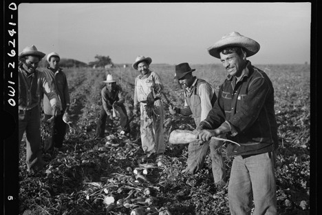 Across the Southern border: How U.S. immigration policies affect agriculture
freshplaza.com/north-america/…