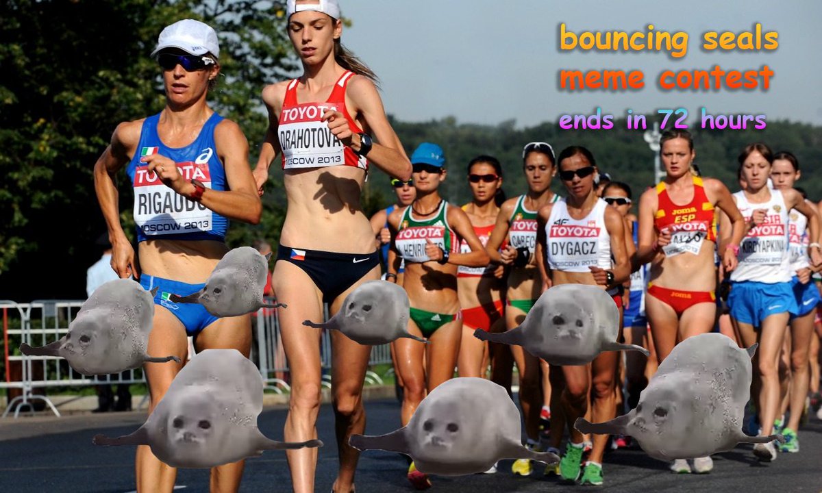 bouncing_seals's tweet photo. announcing the first bouncing $seals meme contest

to join simply follow @bouncing_seals and comment under this tweet with your best bouncing seals meme

submissions must be original content created by you

5 winners (2 $sol for each winner)

ends in 72 hours

#memecontest https://t.co/OYUXXOniVv