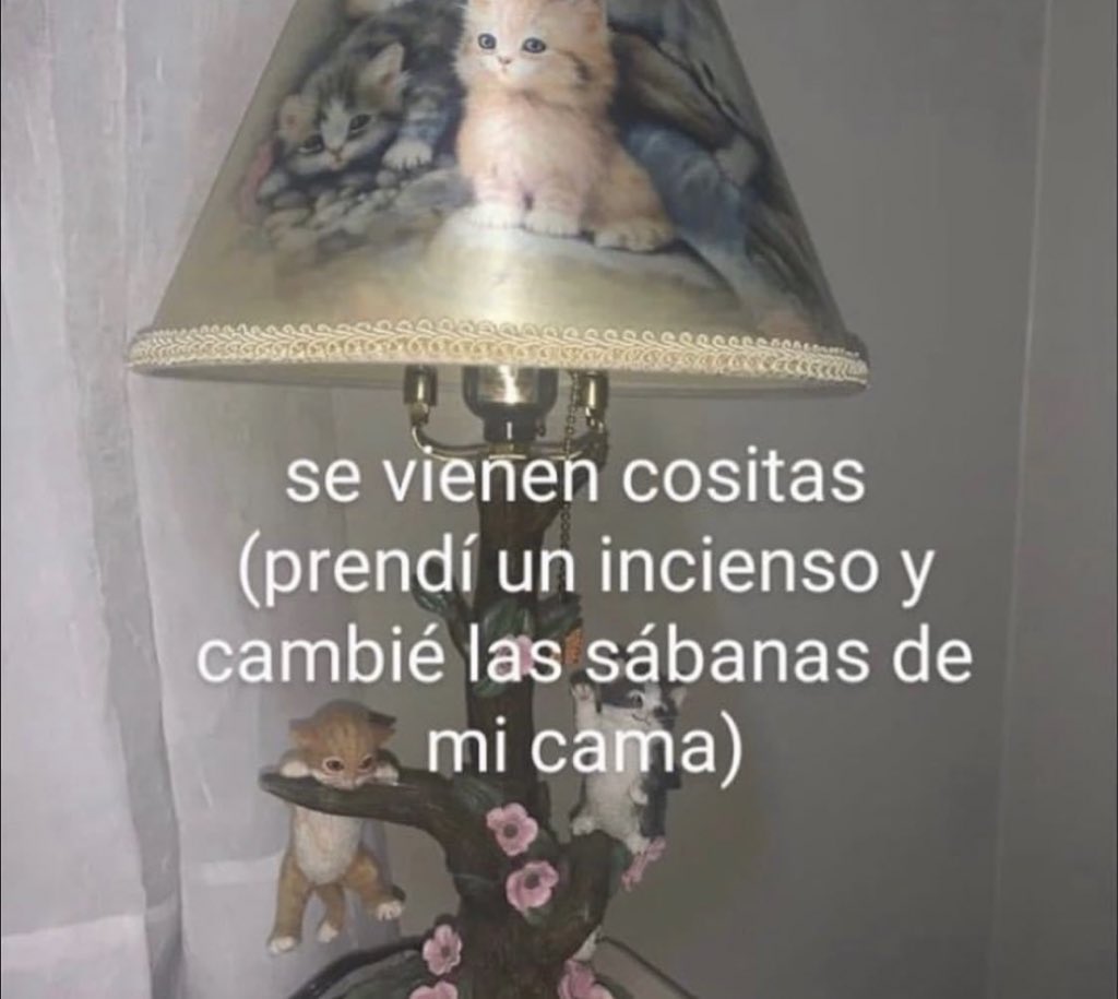 piña sin pizza tweet media