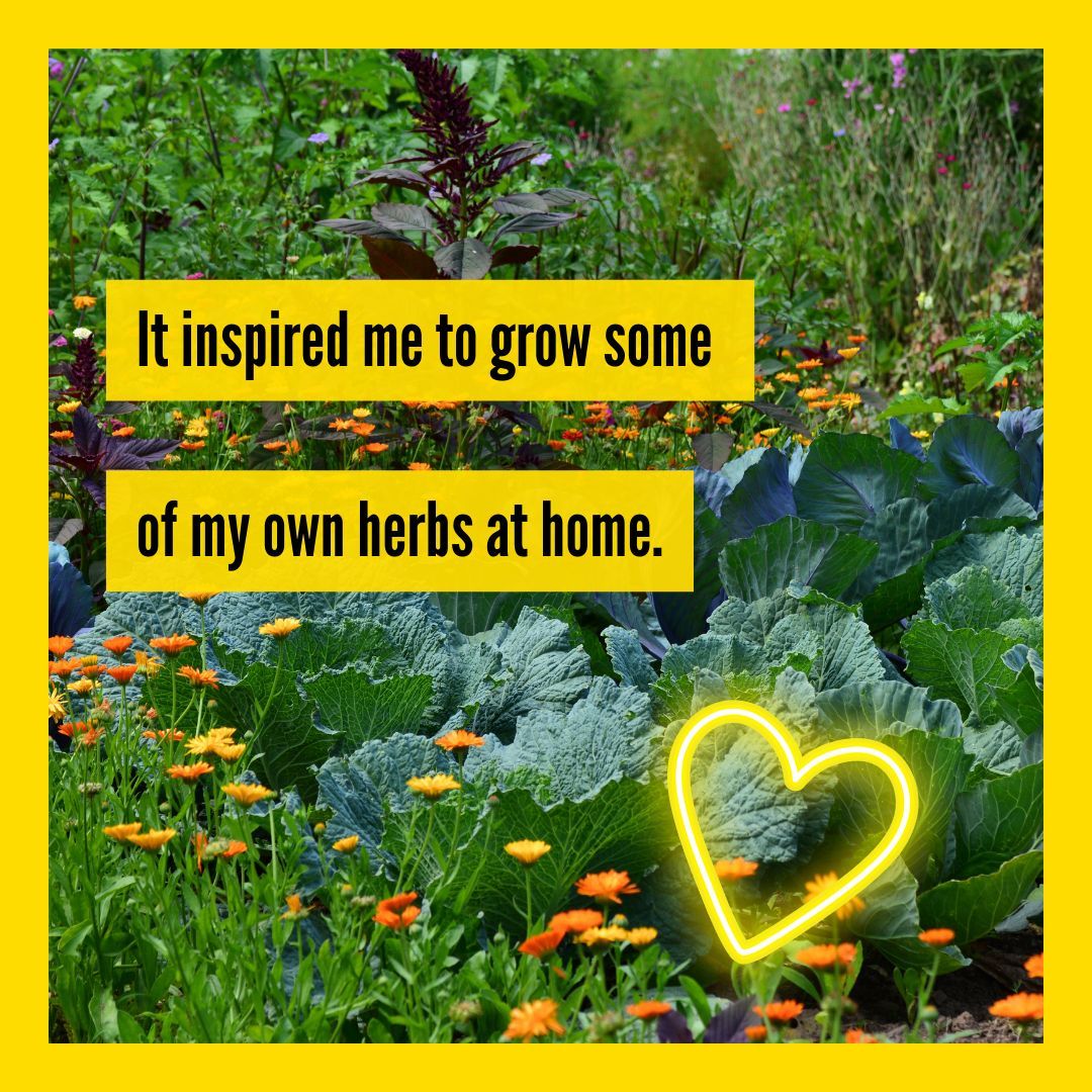 🥘 Happy New Year from the Square Food Foundation kitchen! 
👩‍🍳 Our new term starts tomorrow and we are looking forward to a busy 12 weeks with all our new students, including the Healthy Me Next Steps class, where this lovely quote comes from. 👆🏽 
#foodeducation #communitycookery