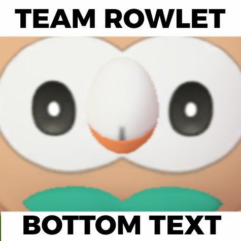 _DJNinja's tweet photo. JOIN TEAM ROWLET!!!
we can beat team eevee and @_TazD_
We are better
#teamrowlet https://t.co/EQP6FyrYca
