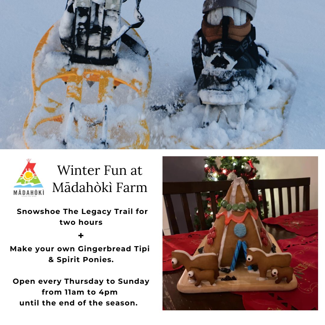 ❄ Winter Fun at Mādahòkì Farm ☃️ Snowshoeing + Make your own Gingerbread Tipi 2-hr snow shoe rental and a Gingerbread Tipi kit (while supplies last) for $30. Save $10! This offer only available to purchase on site at the store Open every Thu to Sun - 11am #MadahokiFarm