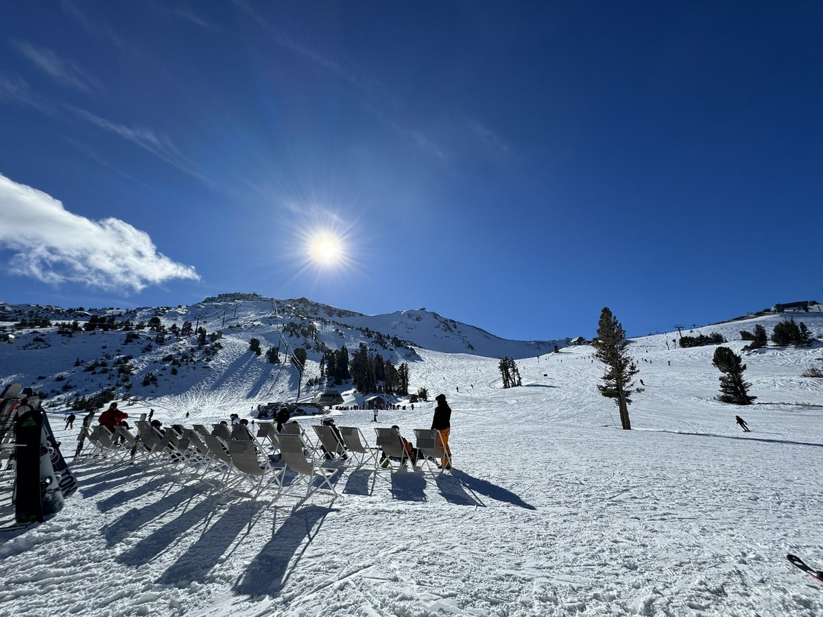 Daniel Rodic tweet media