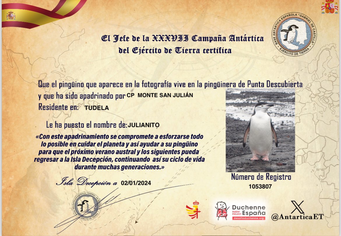 Nosotros ya hemos apadrinado a un pingüino.El jueves os contaremos más noticias de nuestra  videoconferencia con la Antártida desde Isla Decepción. 🐧🐧
#campañaantarticaet#apadrinaunpingüino#csic#hesperides#@Antartica_ET