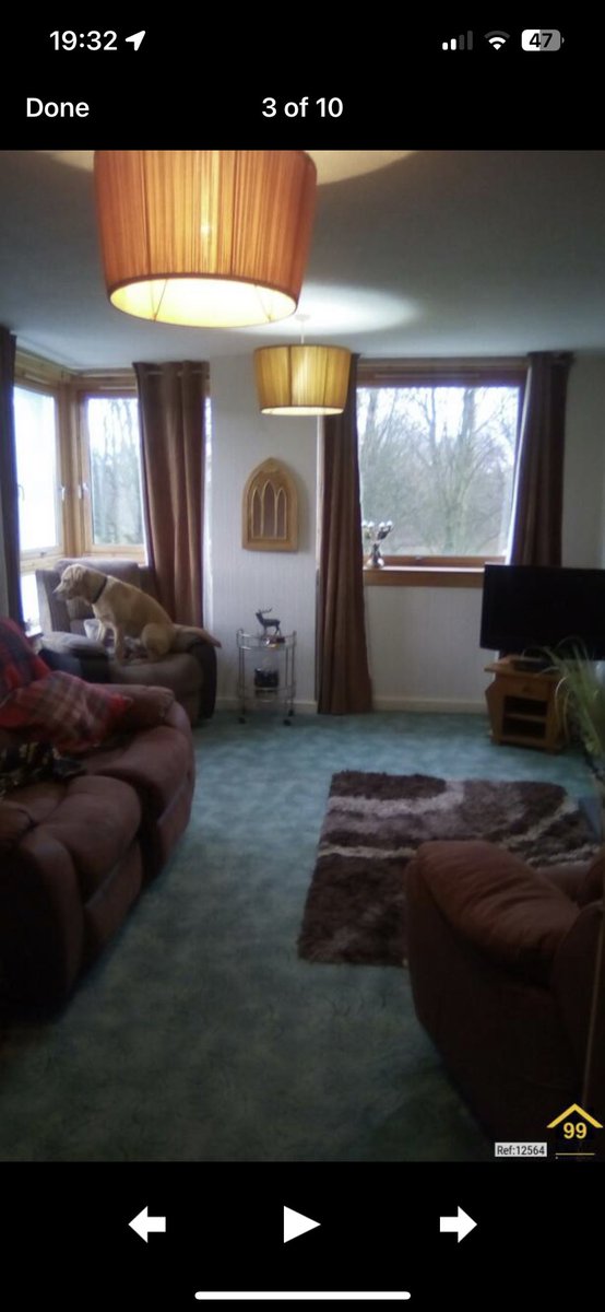 unbebex's tweet image. There’s this flat in Falkirk on Rightmove and the dog is in every single picture lol