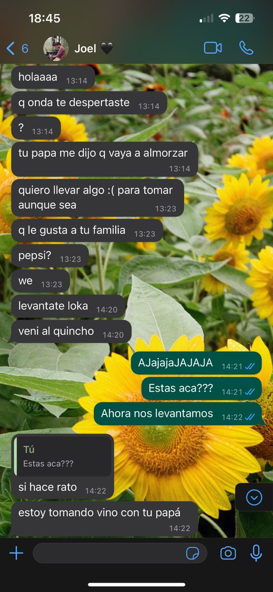 Hoy me desperté a las dos de la tarde con estos mensajes de mi novio