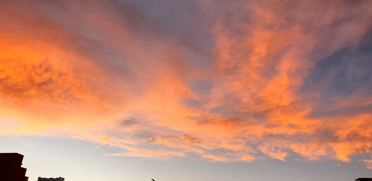 El día que te fuiste entendí que no te volvería a ver
Ibas teñida de rojo por el sol de la tarde, por el crepúsculo ensangrentado del cielo Sonreías. Dejabas atrás un pueblo del que muchas veces me dijiste: Lo quiero por ti; pero lo odio por todo lo demás 🌆 
JuanRulfo 
#07Ene 🙏🏻