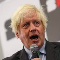 Zeddeee's tweet image. I see  #Tosser is trending, spoilt for choice . .
