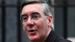 Zeddeee's tweet image. I see  #Tosser is trending, spoilt for choice . .
