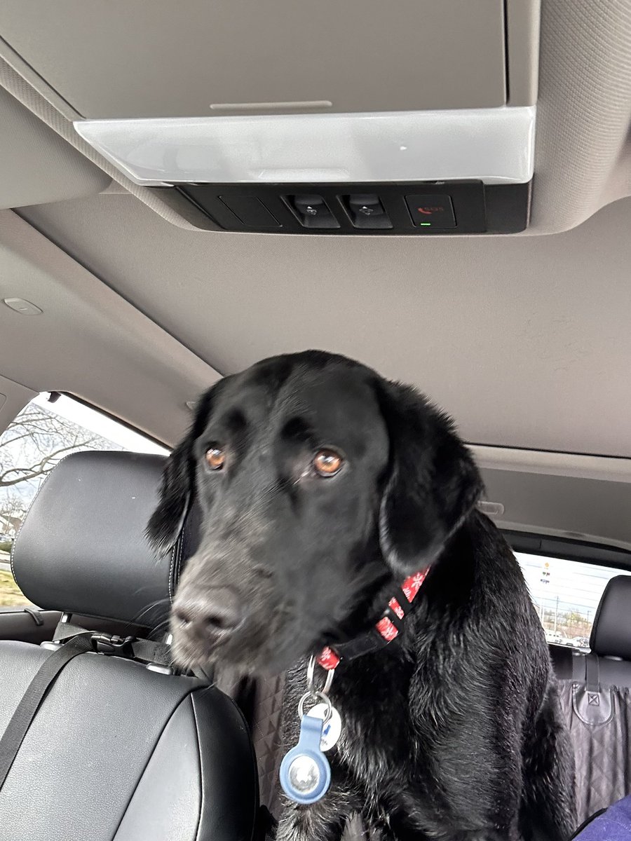 FSSDAlma's tweet photo. Confession time: for a trained therapy dog, I get very nervous at the groomer. I need my therapy human. So I went to @TractorSupply today and got a bath!The dryers are still a no, but I liked the tub! Then I got home and my baby got a bath too! #therapydog #cleandog @fssdPGMS https://t.co/Yscl4cjAg7