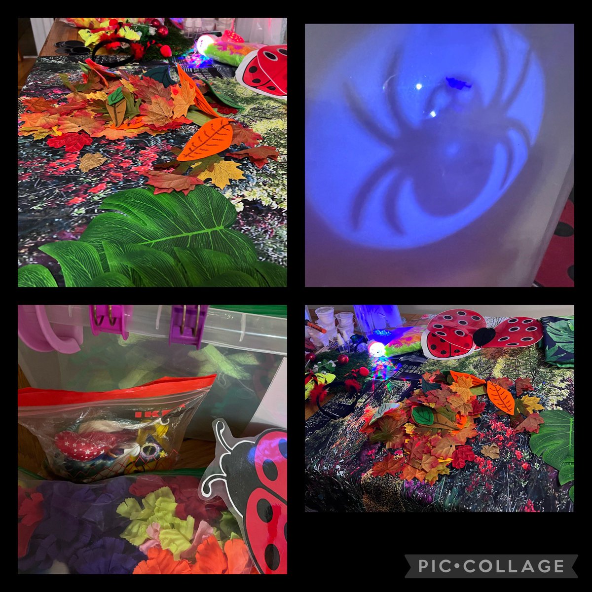 Lynne Castle tweet media